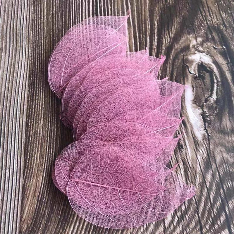 5~9CM*2~3.5CM, 100PCS/Set, Dau - Dried Flower Pressed ulasan dan harga
