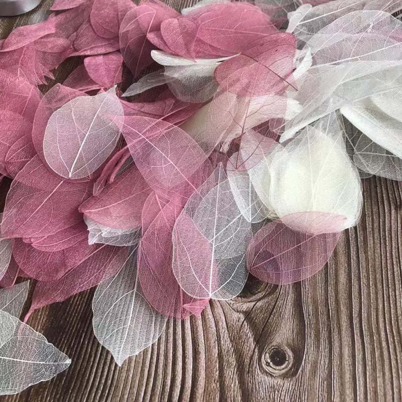 5~9CM*2~3.5CM, 100PCS/Set, Dau - Dried Flower Pressed ulasan dan harga