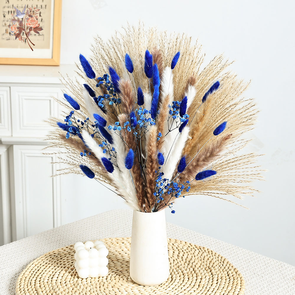 70 Batang Biru Berbulu Ekor Ke - Dried Flower Pressed ulasan dan harga