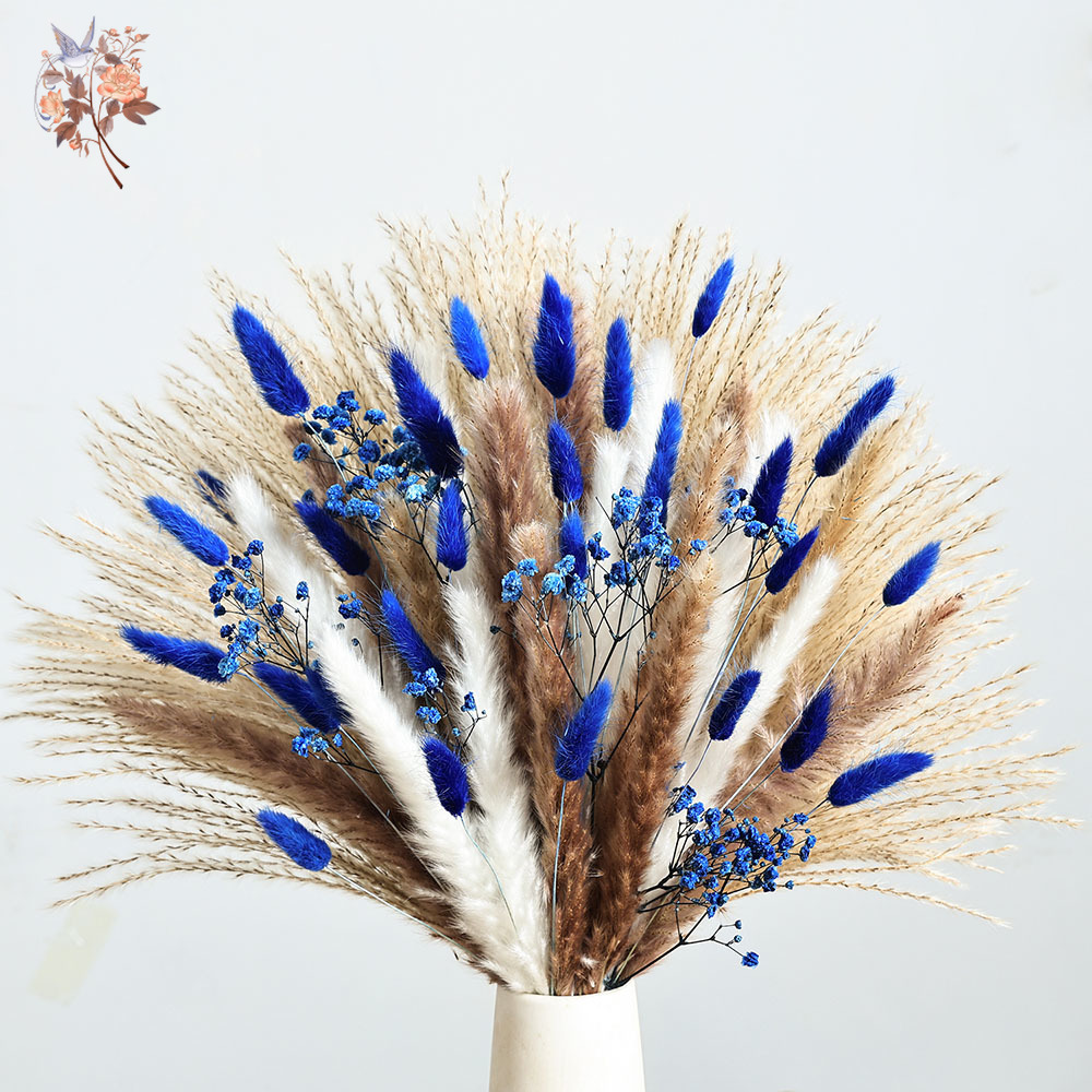70 Batang Biru Berbulu Ekor Ke - Dried Flower Pressed ulasan dan harga