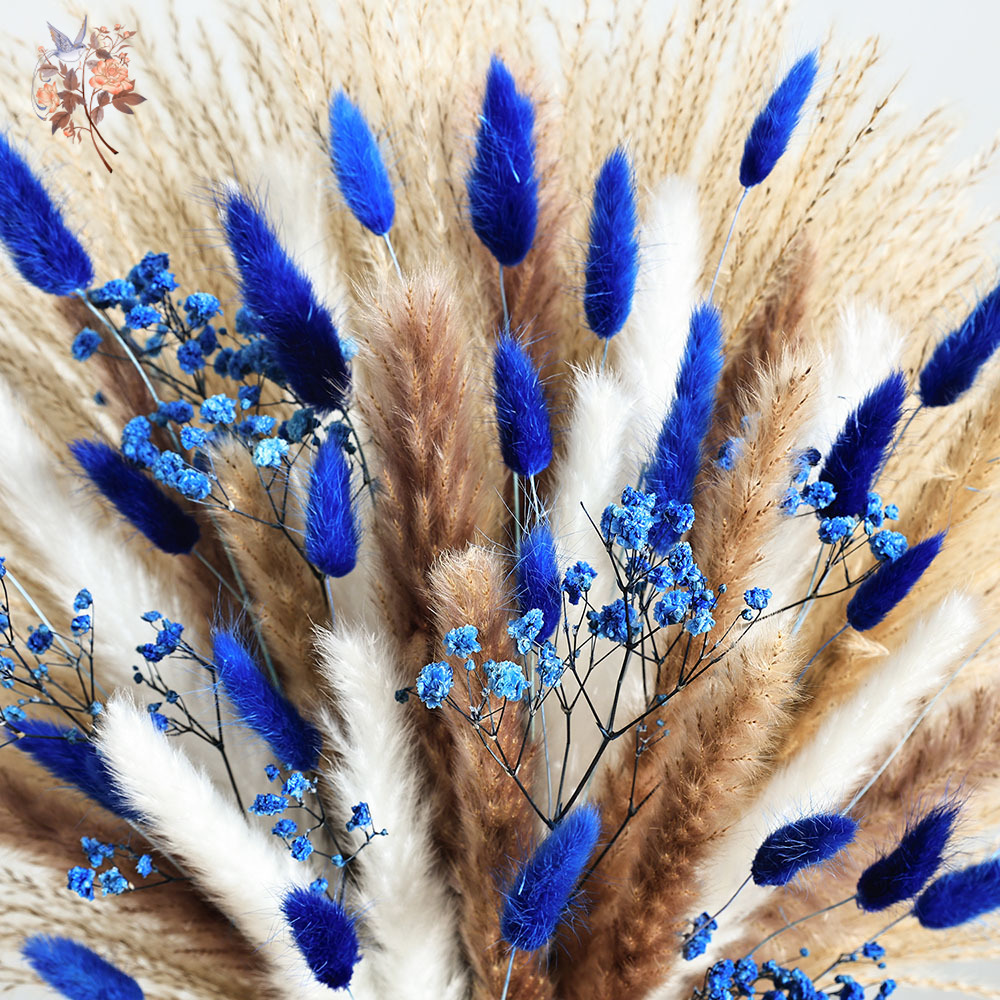 70 Batang Biru Berbulu Ekor Ke - Dried Flower Pressed ulasan dan harga