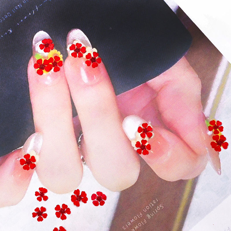 96 Buah Bunga Mini 1.5Cm Alami - Dried Flower Pressed ulasan dan harga