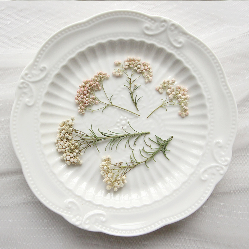 12pcs, Ranting Bunga Millet Al - Dried Flower Pressed ulasan dan harga